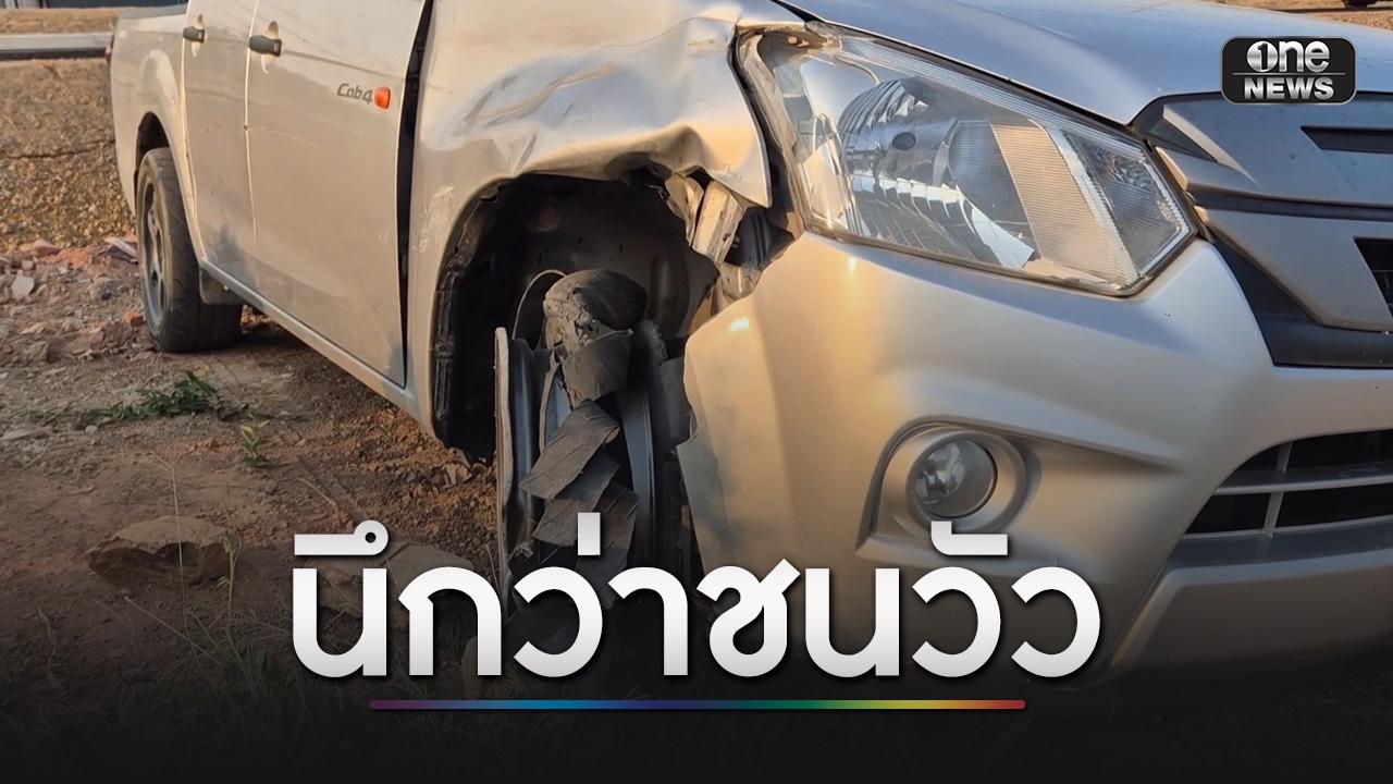 ปิกอัพชนสาวขี่ จยย.ขาขาด มอบตัวตำรวจ อ้างนึกว่าชนวัว