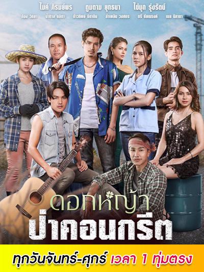 ดอกหญ้าป่าคอนกรีตย้อนหลัง