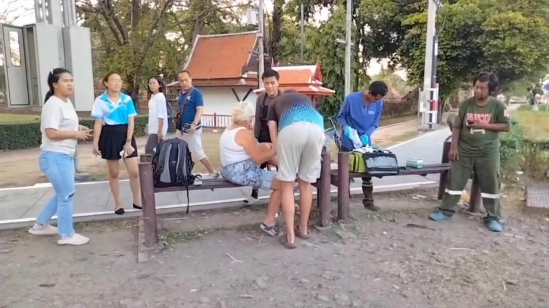 หมากัดชาวต่างชาติ ขณะเที่ยวอยุธยา พบโดนแล้วหลายคน