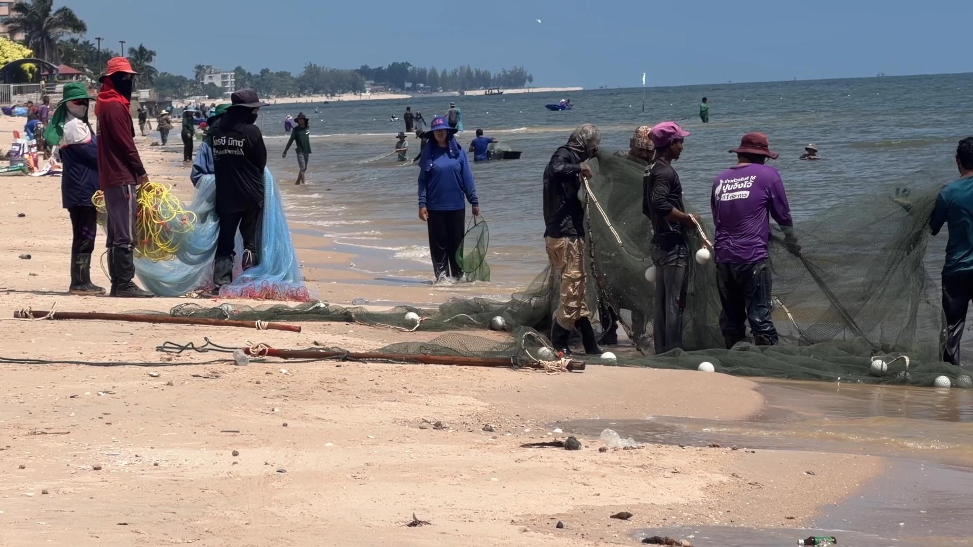 “น้ำเบียด” ชะอำ ปลาทะเลเกยหาดยาว 1.5 กม. ชาวบ้านนับร้อยแห่จับ